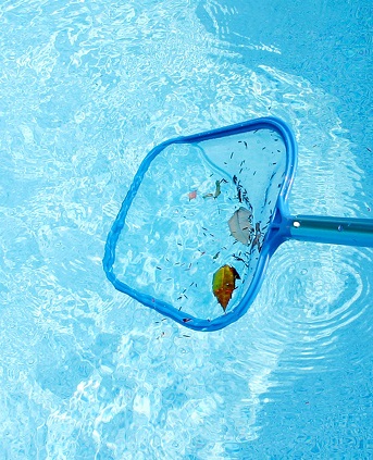 swimming pool leaf skimmer